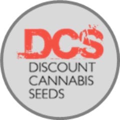 Cannabis Seeds and Exciting Promotions at Discount Cannabis Seeds