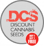 Discovering the Perfect Strain at Discount Cannabis Seeds.