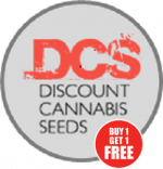 Entdecken Sie die perfekte Sorte bei Discount Cannabis Seeds.