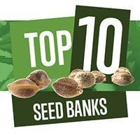 10 Best UK Seed Banks for High-Quality Cannabis Seeds Strains.