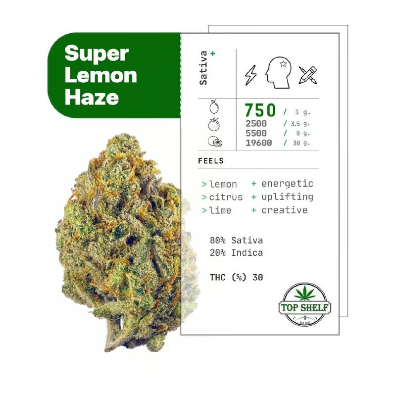 The Citrus Experience with Super Lemon Haze Cannabis Seeds.