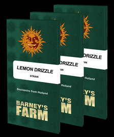 Expert Recommendations for Selecting Barneys Farm Cannabis Seeds.