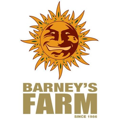 The Best Deals on Barneys Farm Cannabis Seeds.