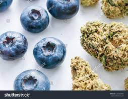 An Overview of Blueberry Cannabis Seeds from Discount Cannabis Seeds.