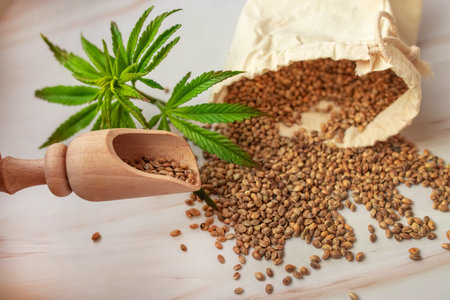 CBD Cannabis Seeds: Your Guide to Finding the Perfect Strain.