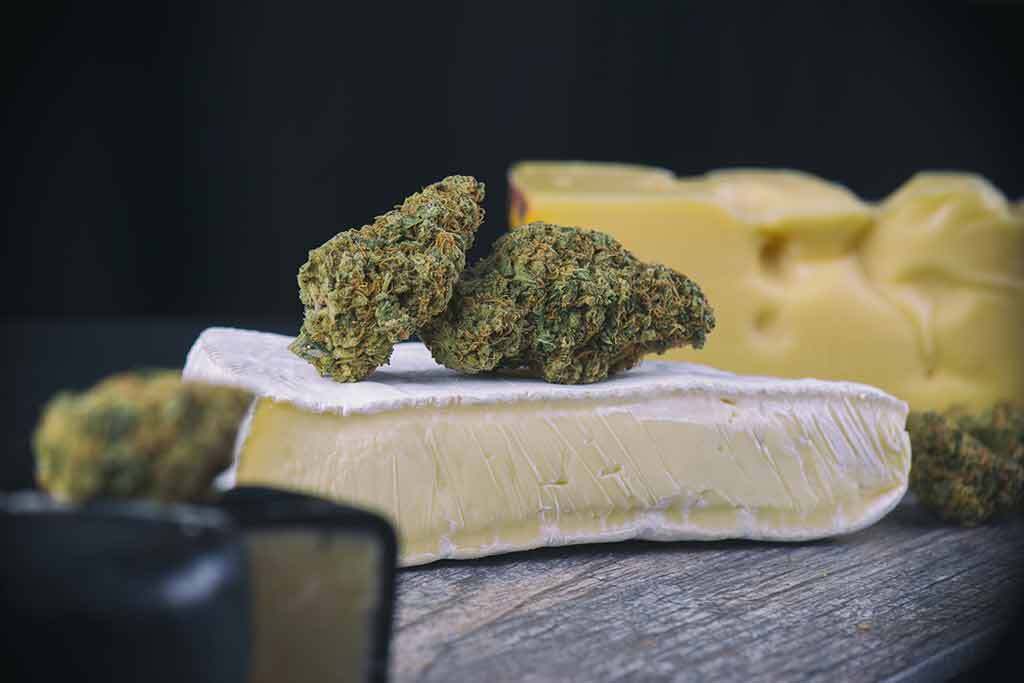 Why Choose Cheese Cannabis Seeds from Discount Cannabis Seeds