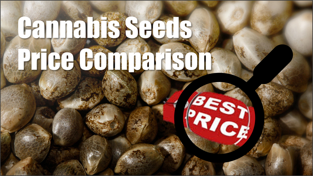 Cannabis Seeds Price Comparison