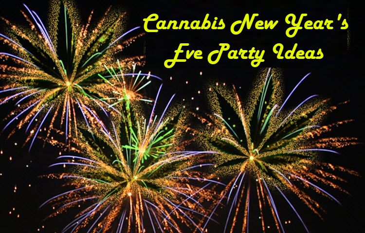 Start the New Year with Discover Discount Cannabis Seeds