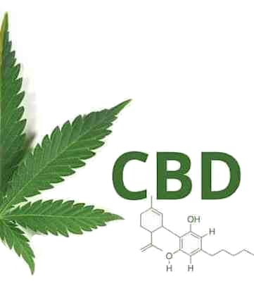 Customer Reviews for CBD Seeds at Discount Cannabis Seeds.