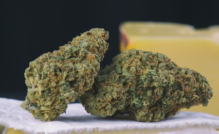 Why Cheese Cannabis Seeds Strains are the Perfect Choice.