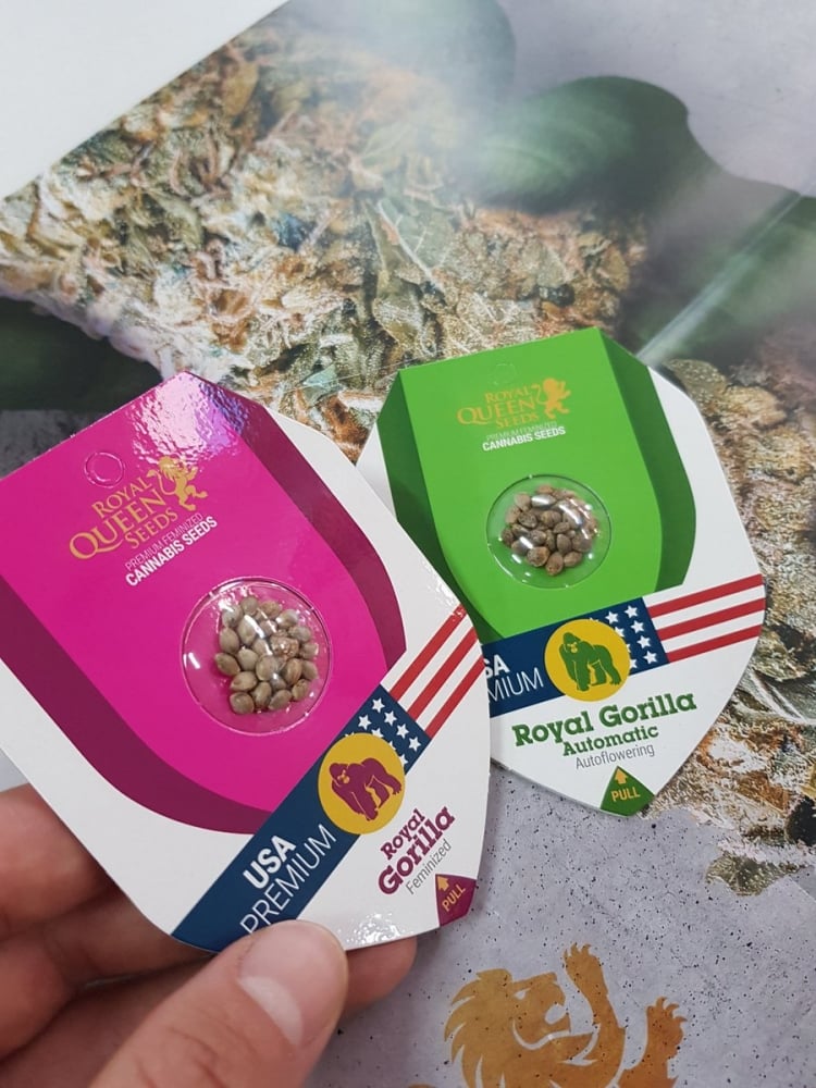 The Ultimate Guide to Growing Cannabis with Royal Queen Seeds