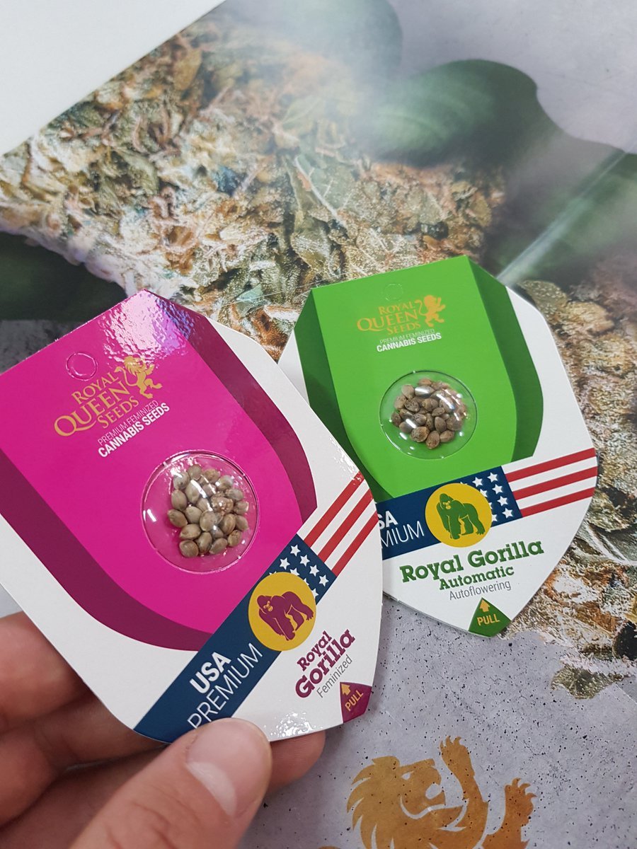 The Ultimate Guide to Growing Cannabis Seeds with Royal Queen Seeds