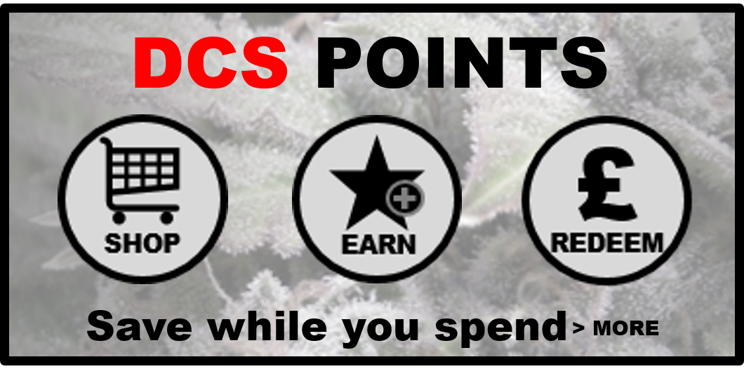 Explore the Collection of Cannabis Seeds at Discount Cannabis Seeds