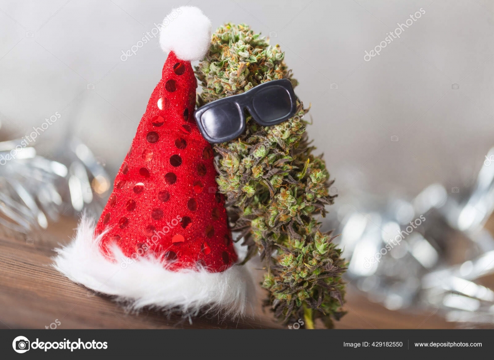 A Merry and Green Christmas with Discount Cannabis Seeds.