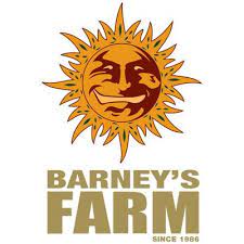 Answering Your FAQs About Barneys Farm Cannabis Seeds.