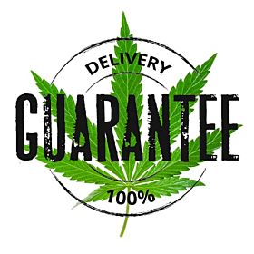 Delighting Customers: The Power Discreet Delivery For Cannabis Seeds.