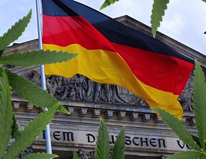 Häufig gestellte Fragen zu Cannabis in Deutschland - Discount Cannabis Seeds