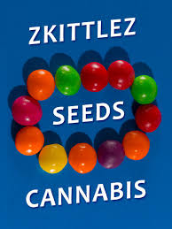 How to Order Zkittlez Cannabis Seeds from Discount Cannabis Seeds.