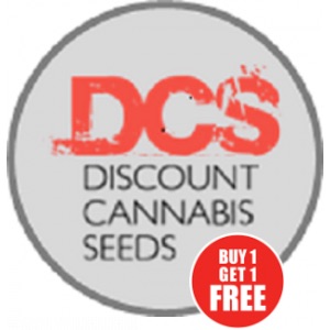 Why Choose UK Cannabis Seeds for Your Next Grow?