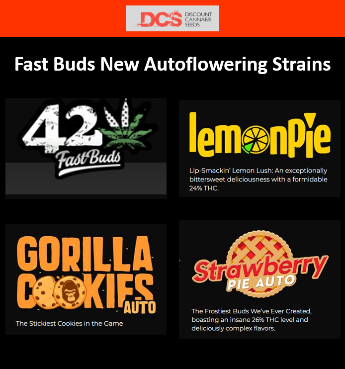New Strains from Fast Buds - Discount Cannabis Seeds