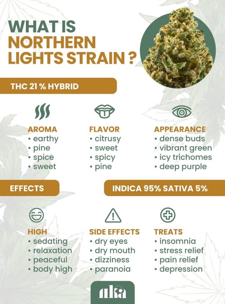 Einführung in Northern Lights Cannabis Seeds.