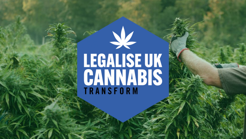 Cannabis Seeds UK Law - Discount Cannabis Seeds