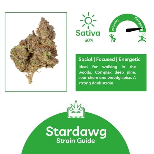 Feiern Sie Ihren Erfolg beim Anbau von Stardawg-Cannabissamen.