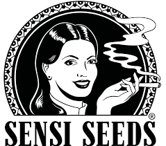 Sensi Seeds at Unbeatable Prices from Discount Cannabis Seeds