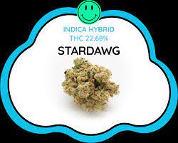 Erleben Sie die Vorteile von Stardawg-Cannabissamen.