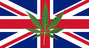 Cannabis Seeds UK Law - Discount Cannabis Seeds