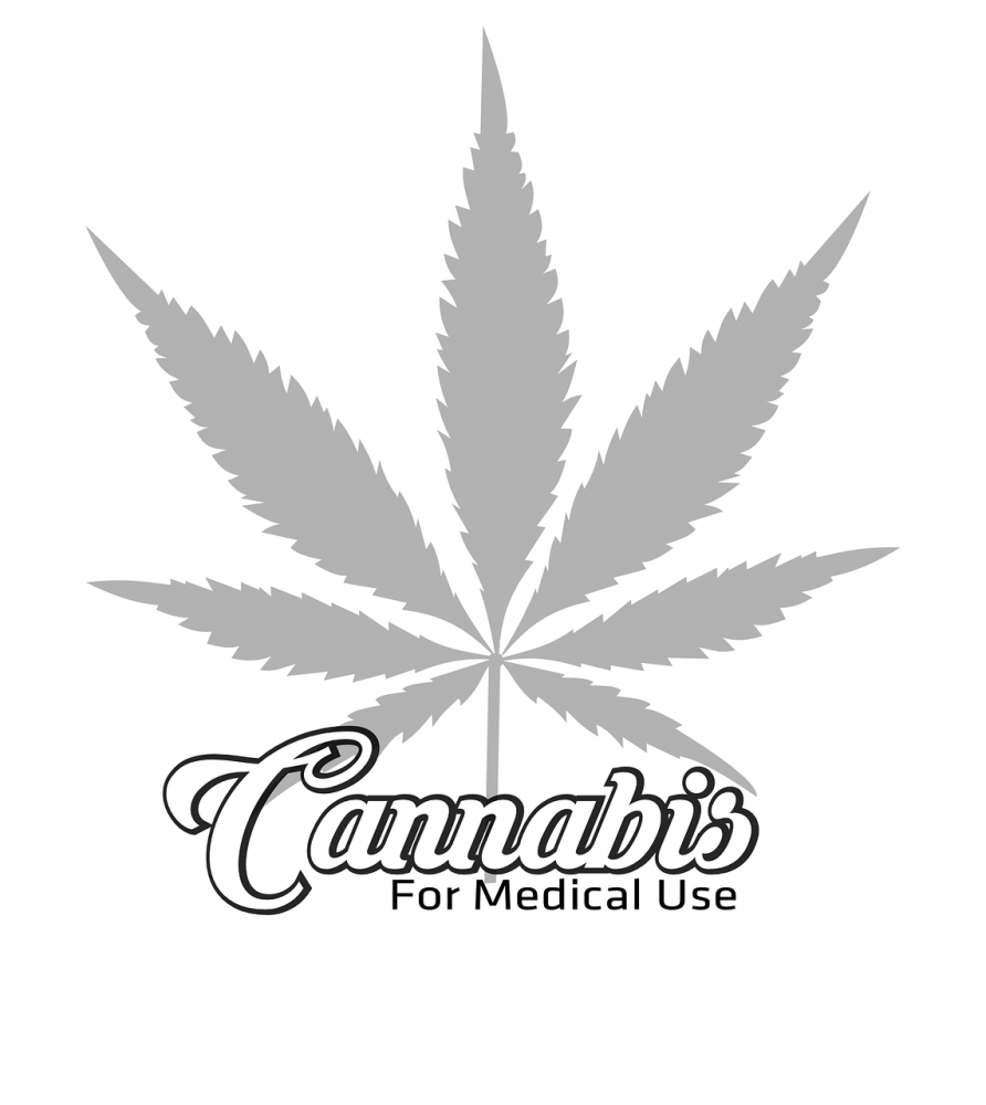 Entdecken Sie medizinische Cannabissamen bei Discount Cannabis Seeds.