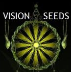 Vision Seeds Strain Reviews - Discount Cannabis Seeds.