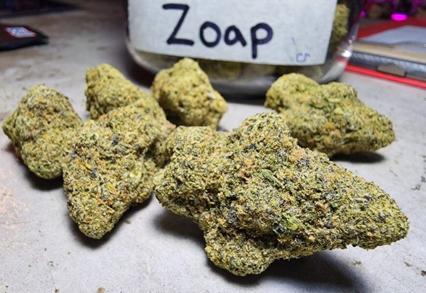 The Wide Range of Zoap Cannabis Seeds at Discount Cannabis Seeds.