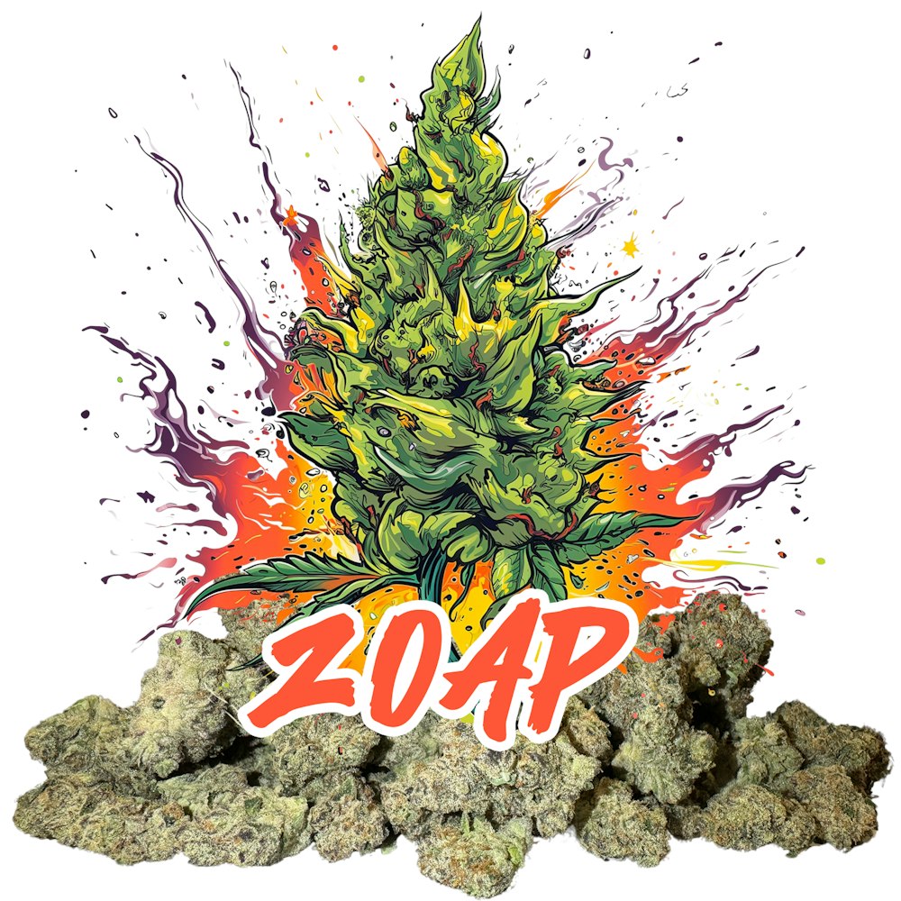 Top Choice for Cannabis Enthusiasts: Zoap Cannabis Seeds.