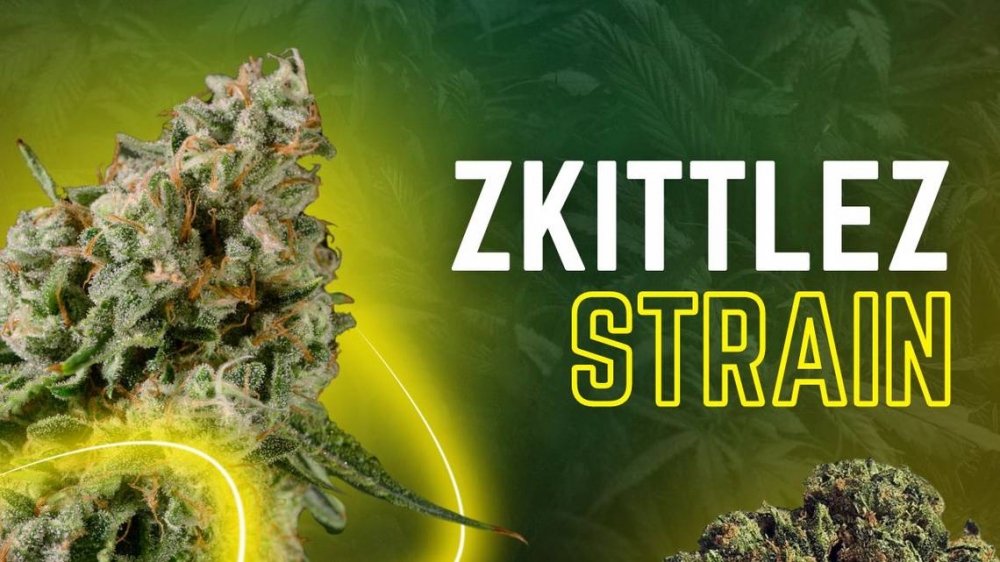 The Ultimate Step-by-Step Guide to Ordering Zkittlez Cannabis Seeds.