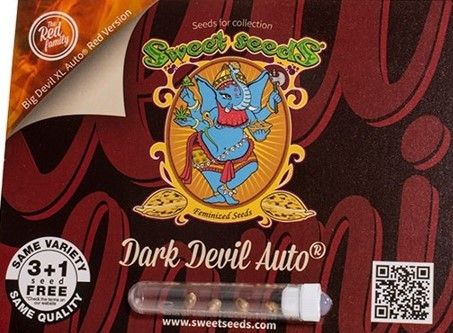 Bewertungen und Erfahrungsberichte zu Dark Devil Cannabis Seeds. Einführung zu Dark Devil Cannabis Seeds. Als begeisterter Cannabis-Züchter war ich immer auf der Suche nach außergewöhnlichen Samensorten, die eine reiche und lohnende Ernte versprechen. Unter den unzähligen auf dem Markt erhältlichen Optionen haben sich Dark Devil Cannabis Seeds einen hervorragenden Ruf erworben und meine Neugier geweckt, tiefer in die Erfahrungen anderer Züchter einzutauchen. In diesem umfassenden Artikel werden wir die Wahr