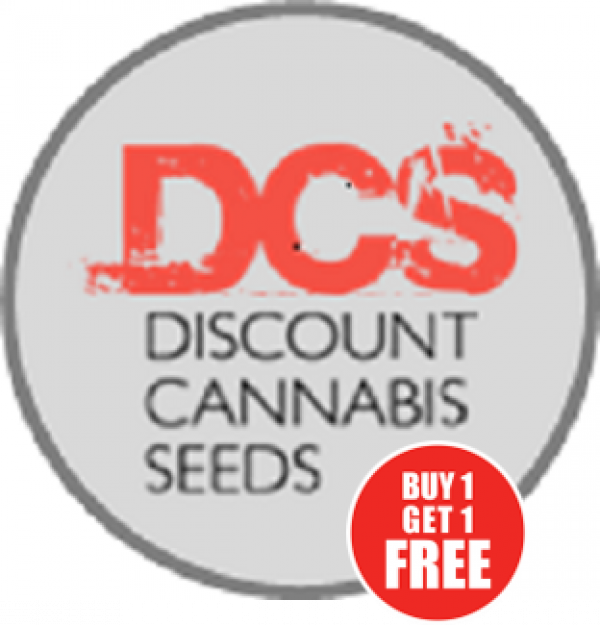 BOGOF Deals on Cannabis Seeds at Discount Cannabis Seeds.