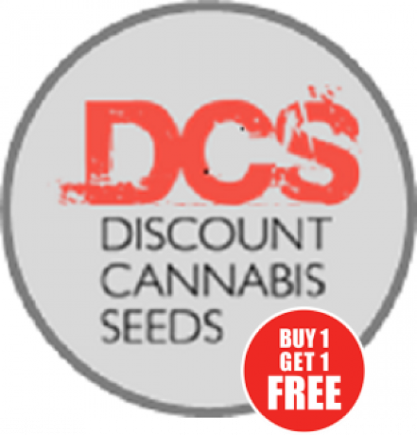 Maximise Your Savings with the BOGOF Offer on Discount Cannabis Seeds