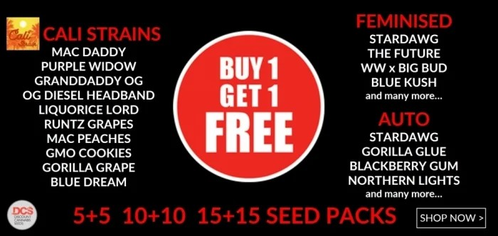 Unlock Exciting Deals: Get Your Cannabis Seeds BOGOF Offer.