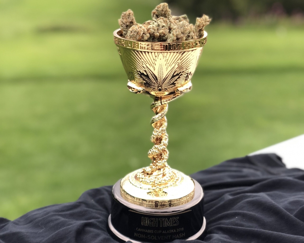 Best Cannabis Cup Winning Cannabis Seeds at Discount Cannabis Seeds