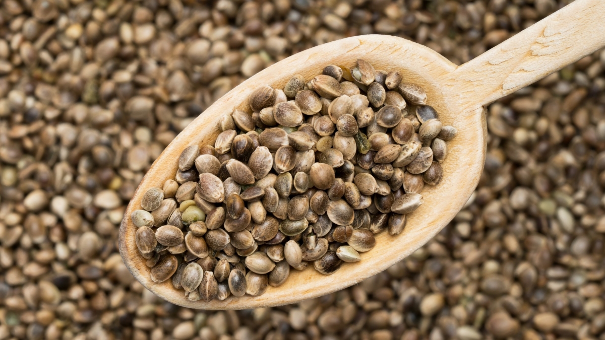 Your Guide to Buying Cannabis Seeds in the UK: Tips, Regulations, and Best Practices.