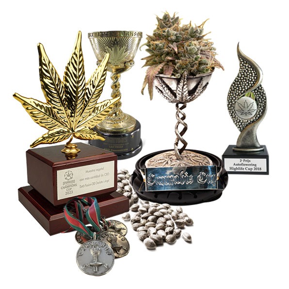 Unveiling the Champions: Popular Cup-Winning Cannabis Seeds.