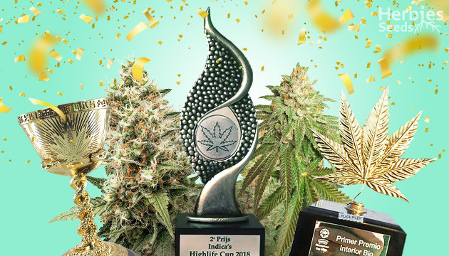 The Exceptional Range of Award-Winning Cannabis Seeds.