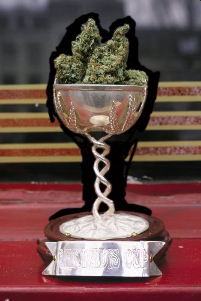 Power of Customer Reviews: Cannabis Cup-Winning Cannabis Seeds