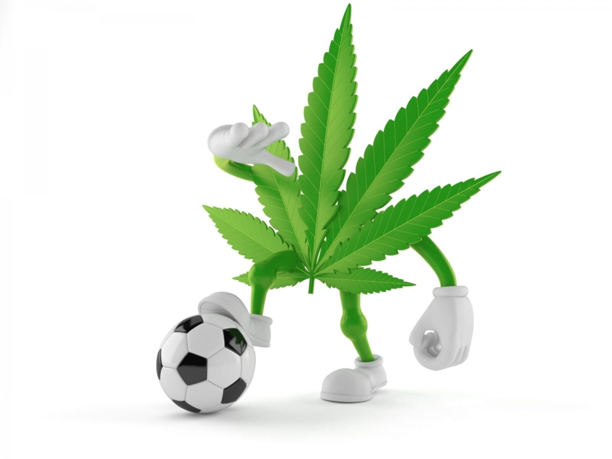 Elevate Your Football Watching Experience with Cannabis Seeds.