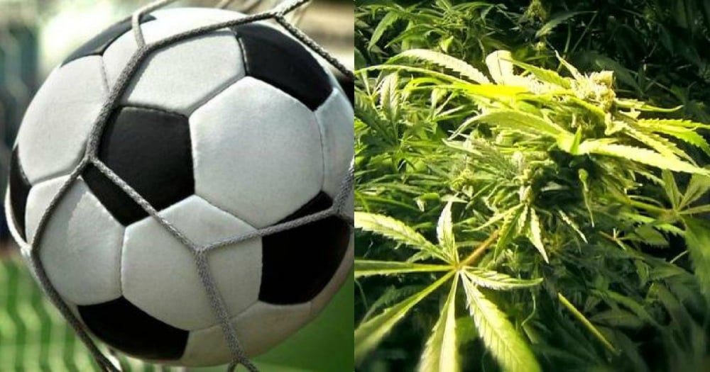 Elevate Your Football Watching Experience with Cannabis Seeds.