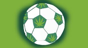 Cannabis Seeds for Football Watching at Discount Cannabis Seeds.