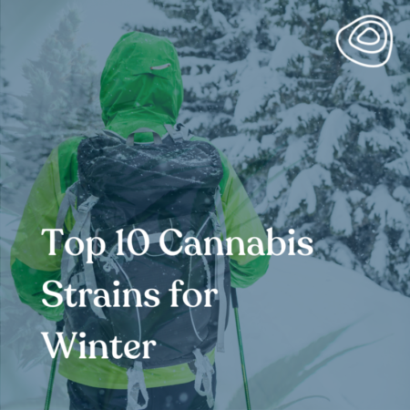 Discover the Best Winter Cannabis Seeds Strains Embrace The Cold.