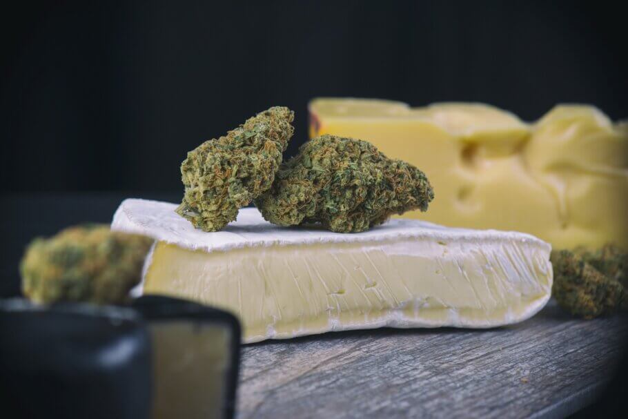 The Finest Cheese Cannabis Seeds at Discount Cannabis Seeds.