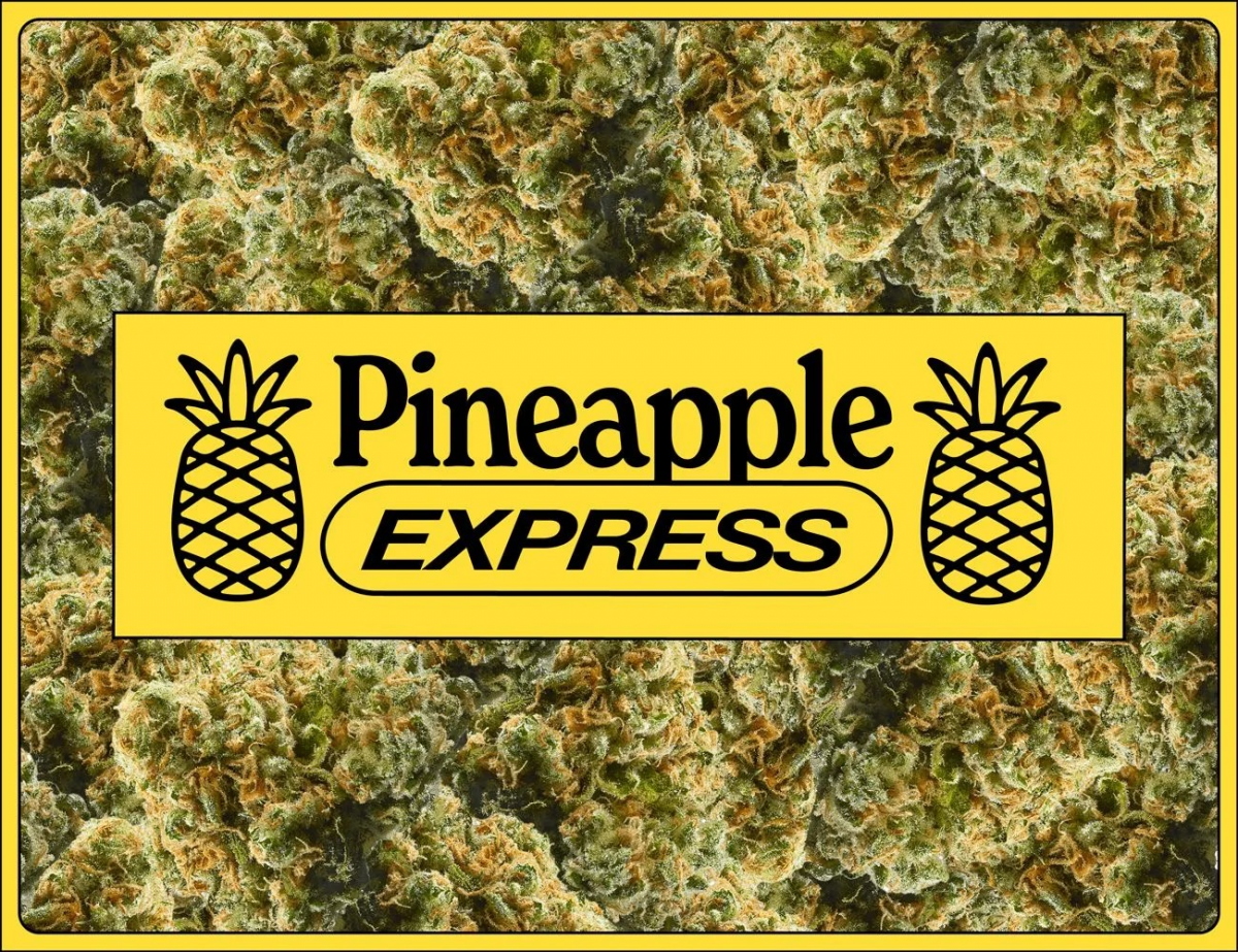 Tropical Bliss with Pineapple Express Cannabis Seeds.